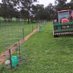 Tree guards done.