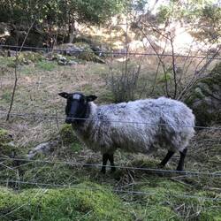 Da haben wir einige getroffen...