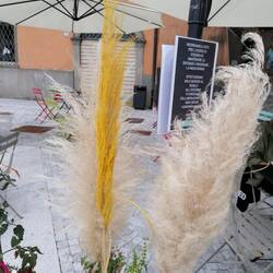 ... Pharaos Windmaschine ist ebenfalls hier...