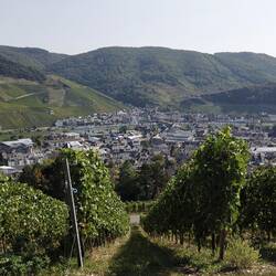 Kues mit Blick nach Bernkastel
