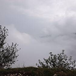 hartnäckiger Nebel