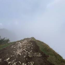 ein Weg ins Nirgendwo...unheimlich..