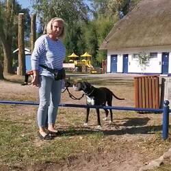 Im nächsten Leben werde ich ein Tournierpferd