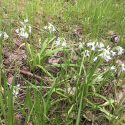 Wildflowers are appearing.