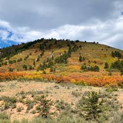 Nice to see the color changing as we head up to Woodland Park.