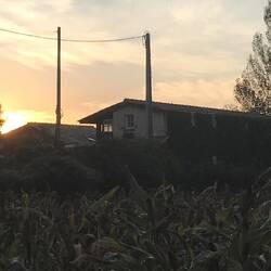Casa do Moinho