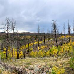 Waldo Canyon Burn Scar ... before crossing the dam — Rampart Reservoir, CO.