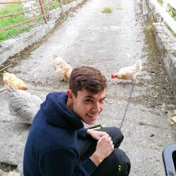 Sven und seine Chicks🙈🐔