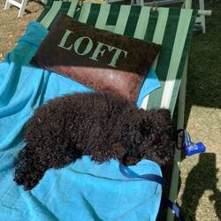 Lacey is a bit puffed.