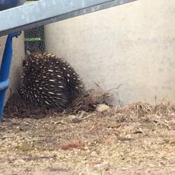 If I can't see you then surely you can't see me either.