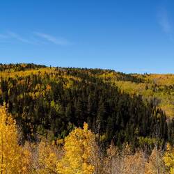 Panoramic view of fall colors — Hwy 67, Colorado.
