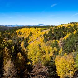 Fall Foliage on Hwy 67, Colorado.