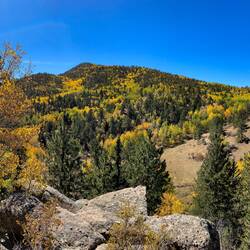 Fall Foliage on Phantom Canyon Road, Colorado.