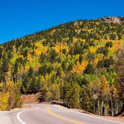 Fall Foliage on Hwy 67, Colorado.