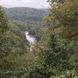 Paradise Overlook on the property at Fallingwater