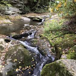 Stream on the property of Fallingwater
