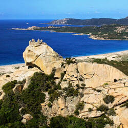 Le lion de Roccapina