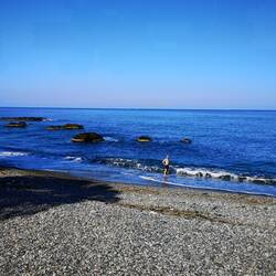 Swimming in the Black Sea