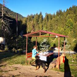 Breakfast at the camp with one of the camp dogs