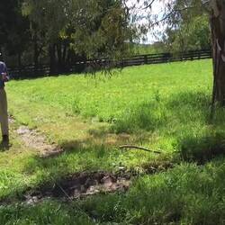 Divining for the phone cable.
