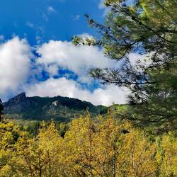 Indian Summer on Samos!