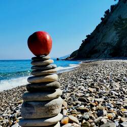Cairn with healthy topping!