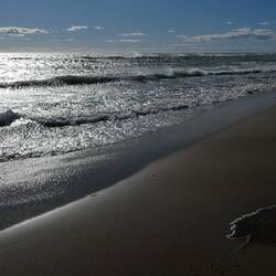 Dette kunne også have været fra vores forårstur ved Vesterhavet - men det er Plage de Piemanson