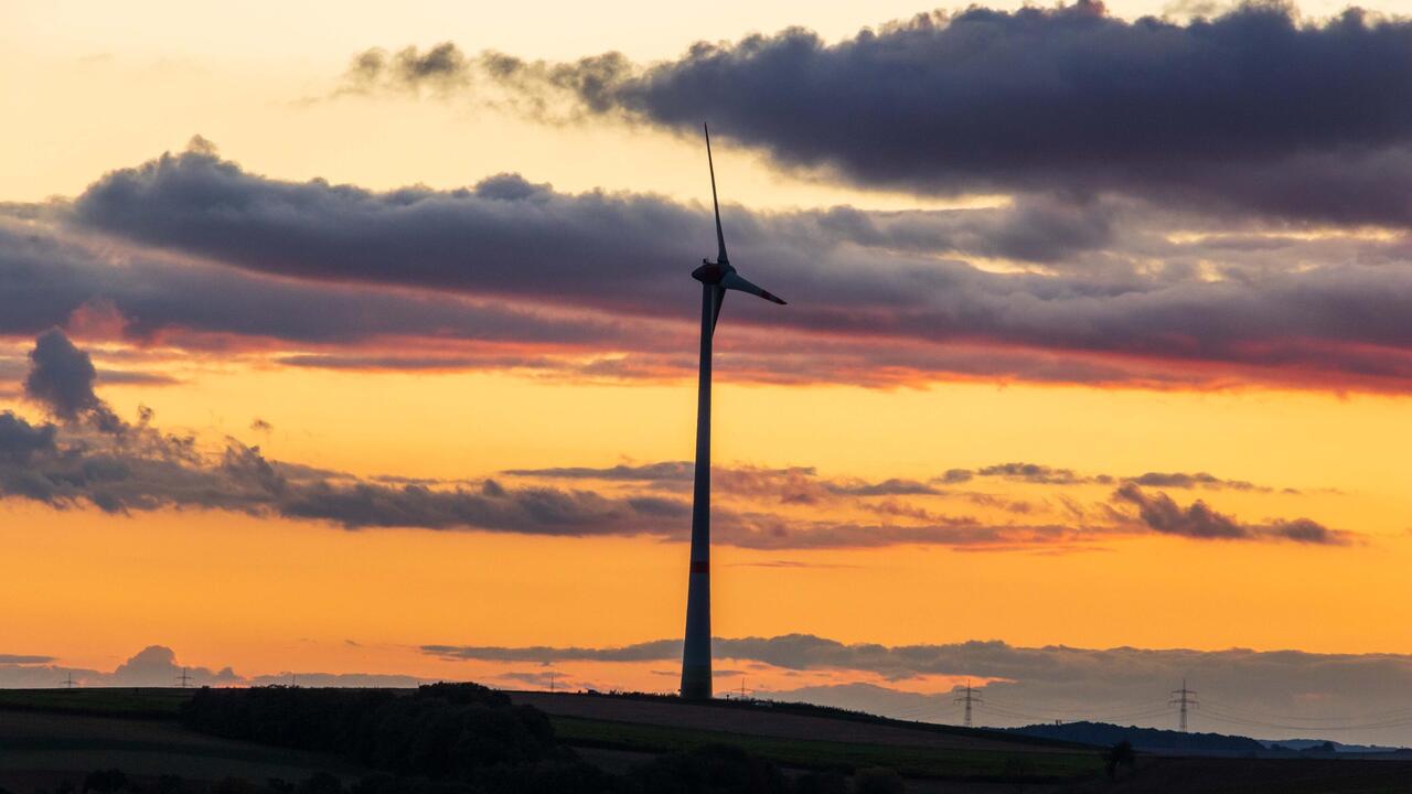 Windbäume sieht man immer wieder