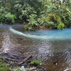 Zusammenfluss Rio Buena Vista und Rio Quebrada Agria, rechts Rio Celeste