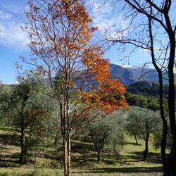 Tolle Herbststimmung hier🍂🍁🙂