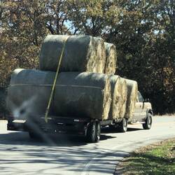 Not a square bale to be found east of Colorado
