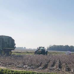Check out the people standing next to the cotton picker for scale
