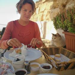 Breakfast in Mardin - 5 seconds later, the cat was sitting on my plate eating the cheese...