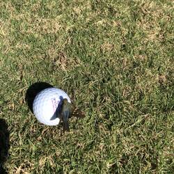 You'd better move...