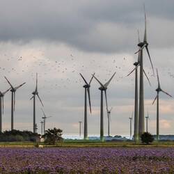 Endlos viele Windräder