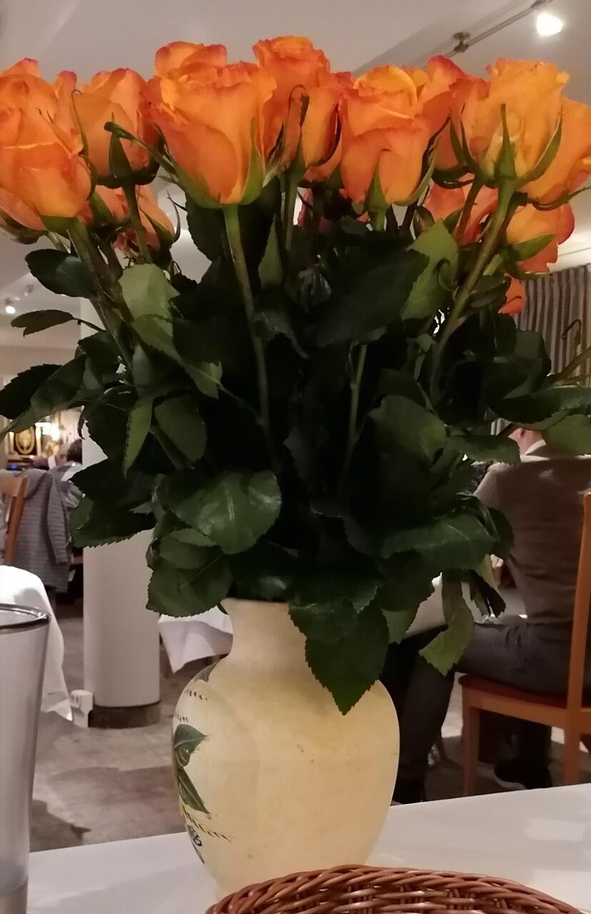 25 Rosen