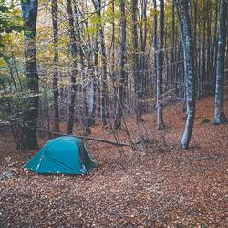 Notre premier lieu de villégiature sauvage