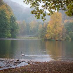 Söderåsens nationalpark, dammen
