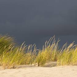 Sand und Düne im Abendlicht