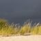 Sand und Düne im Abendlicht