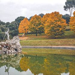 Cherchez le héron!... Belles couleurs automnales n'est-ce pas?!