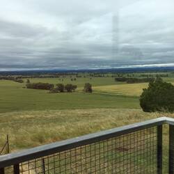 Tallis winery outlook.