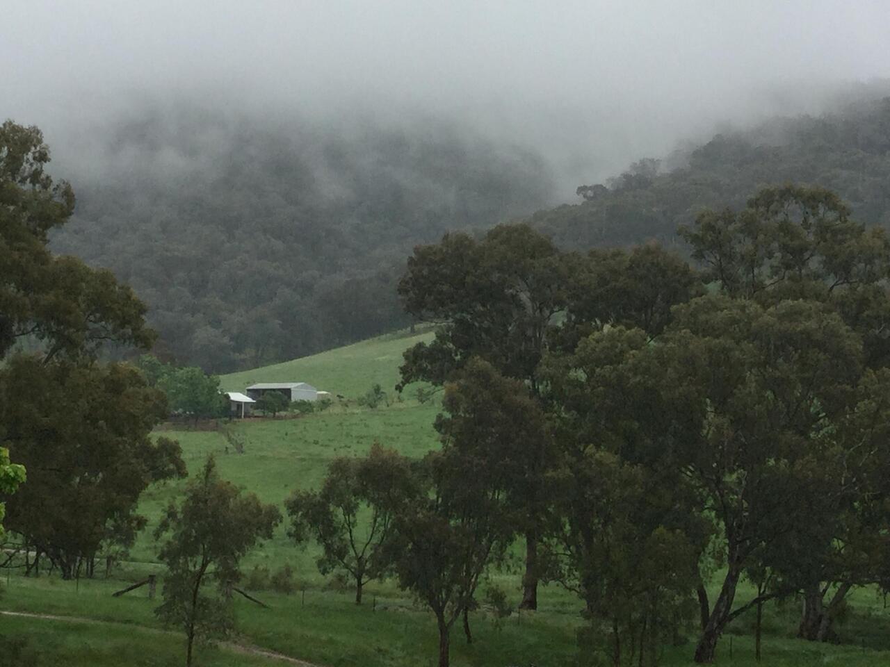 Cool, wet start to the day.