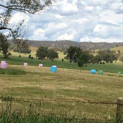 I remember when silage wrap was just green.