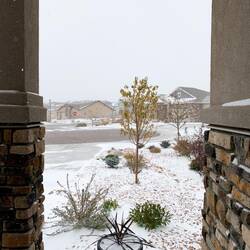 The snow is accumulating ... slowly — Colorado Springs, CO.