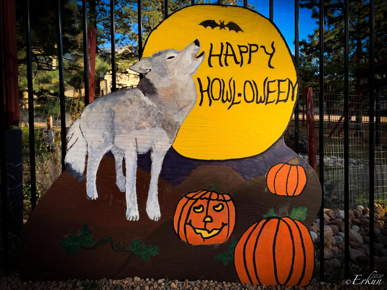 Colorado Wolf & Wildlife Center — Divide, CO.