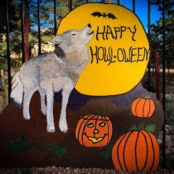 Colorado Wolf & Wildlife Center — Divide, CO.
