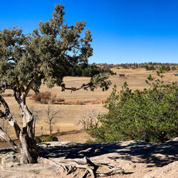 Lake Gulch Trail ... when Catlewood Dam was built, this area was a reservoir — Castlewood Canyon SP.