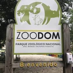 Welcome, let's begin ...