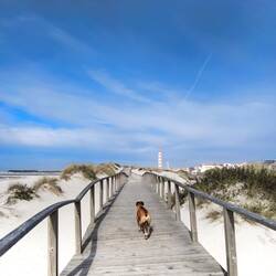 5 km langer Strandweg